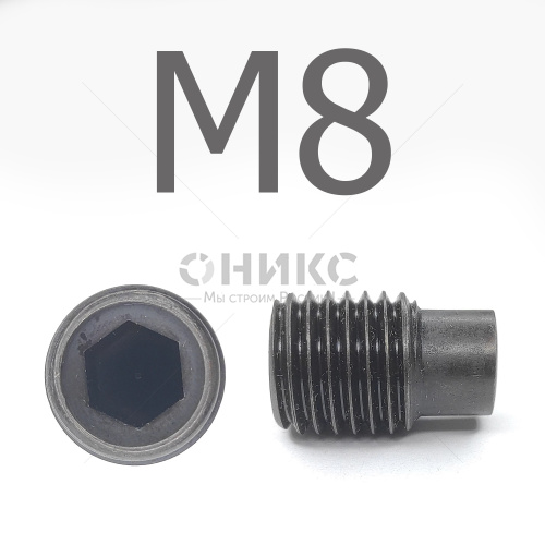 DIN 915 Винт установочный цилиндрическим концом оксидированный М8x40 - Оникс