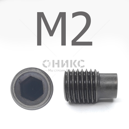 DIN 915 Винт установочный цилиндрическим концом оксидированный М2x12 - Оникс