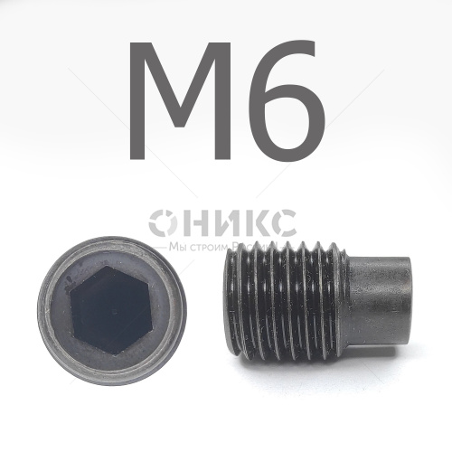 DIN 915 Винт установочный цилиндрическим концом оксидированный М6x10 - Оникс