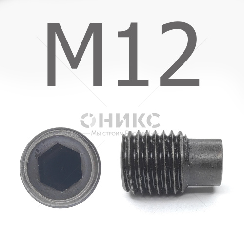 DIN 915 Винт установочный цилиндрическим концом оксидированный М12x70 - Оникс