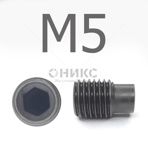 DIN 915 Винт установочный цилиндрическим концом оксидированный М5x4 - Оникс
