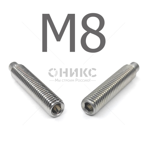 DIN 915 Винт установочный цилиндрическим концом нержавеющий А4 М8x6 - Оникс
