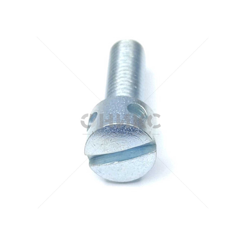 Винт пломбировочный DIN 404 с отверстиями оцинкованный 5.8 М6x12 - Оникс