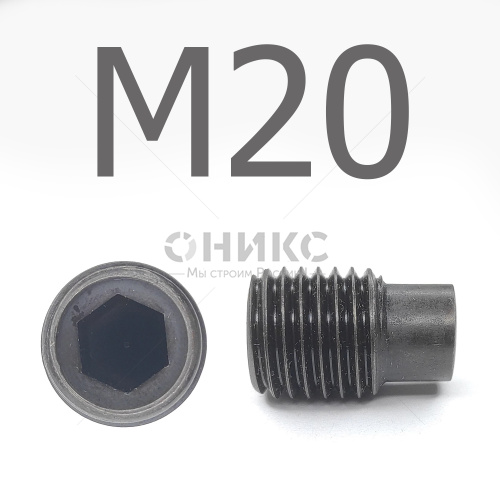 DIN 915 Винт установочный цилиндрическим концом оксидированный М20x20 - Оникс