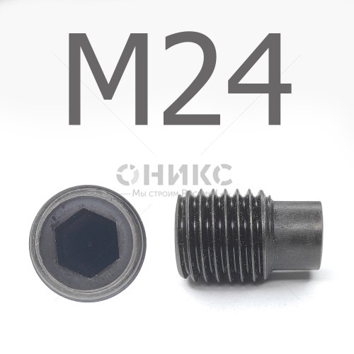 DIN 915 Винт установочный цилиндрическим концом оксидированный М24x45 - Оникс