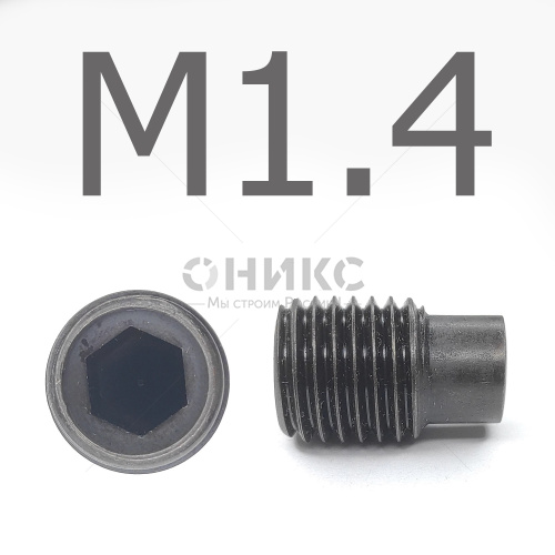 DIN 915 Винт установочный цилиндрическим концом оксидированный М1.4x3 - Оникс