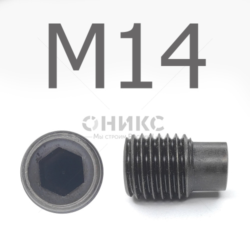DIN 915 Винт установочный цилиндрическим концом оксидированный М14x50 - Оникс