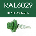 Саморезы кровельные RAL 6029 зеленая мята
